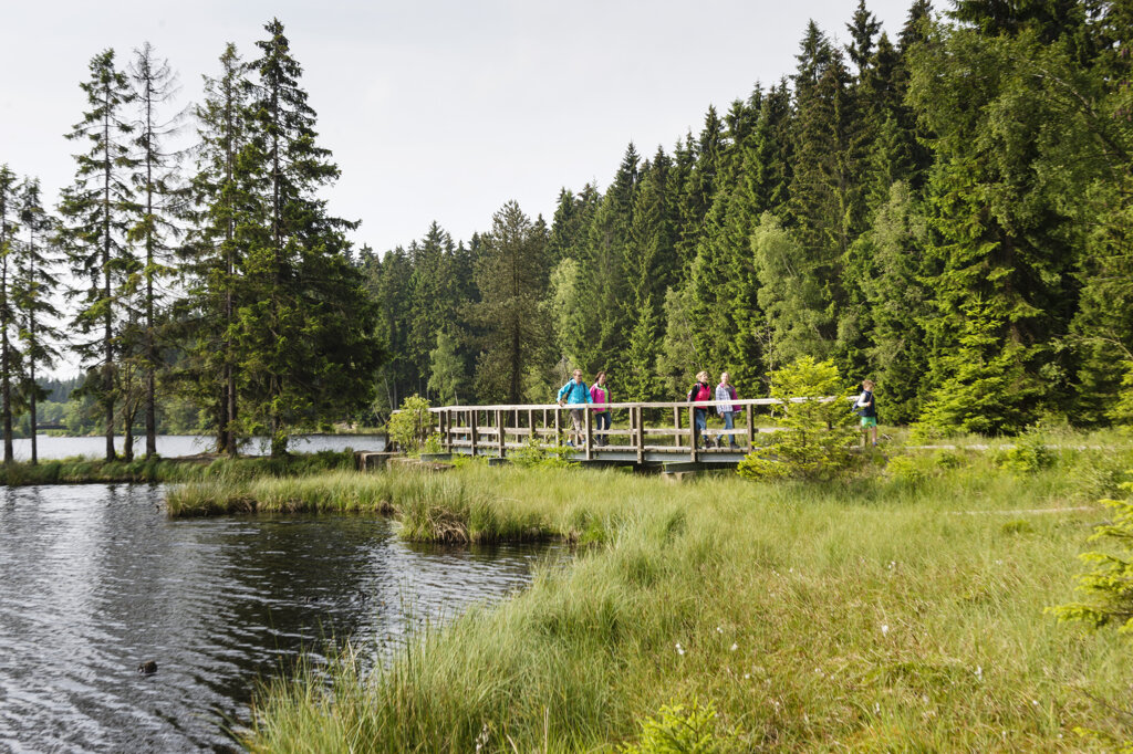 Natur und See c Tourismuszentrale Fichtelgebirge