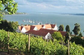 Bodensee Reben