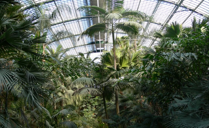 Palmenhaus Frankfurt