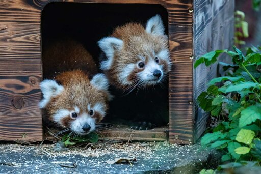 Tierpark Hellabrunn