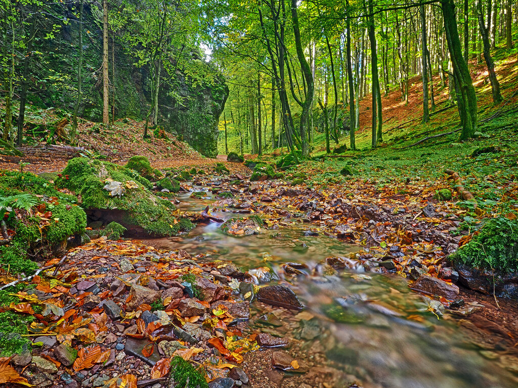 Felsental 01 10 2017 c Karl Steuding Bad Tabarz