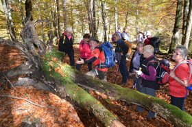 Nationalpark Ranger Touren