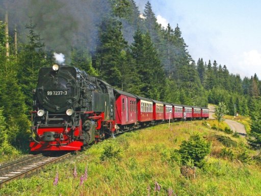 Mit Volldampf in den Harz, König Brocken wartet
