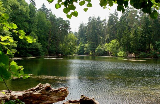 Naturpark Eggegebirge  - vom Teutoburger Wald bis ins Sauerland