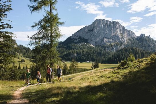 Wandern Wurzeralm