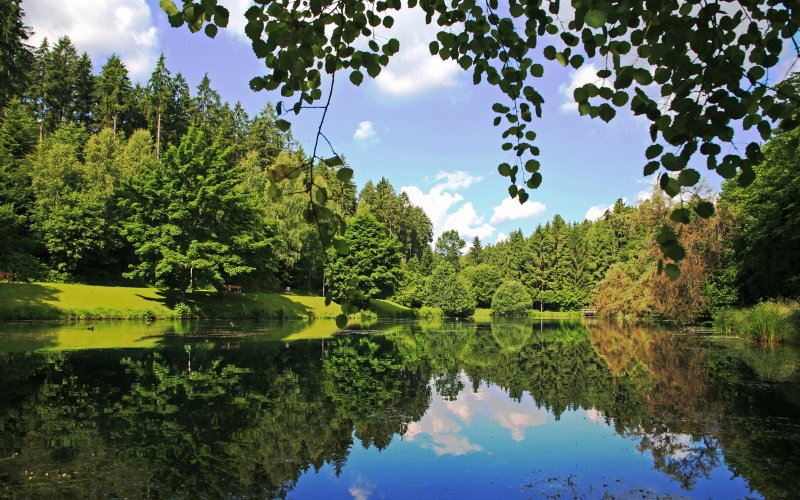 Waldsee im WellnessWald Waldachtal