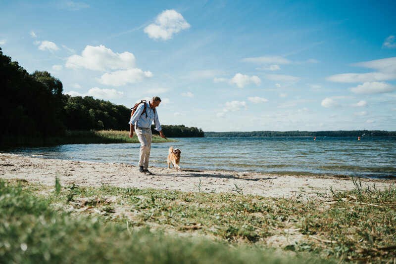 Hund Plauer See Mecklenburgische Seenplatte