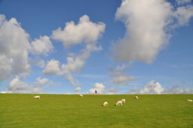 Wiese c Kiel-Marketing K.Steigueber