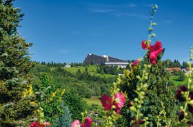 Außenansicht Sommer 5