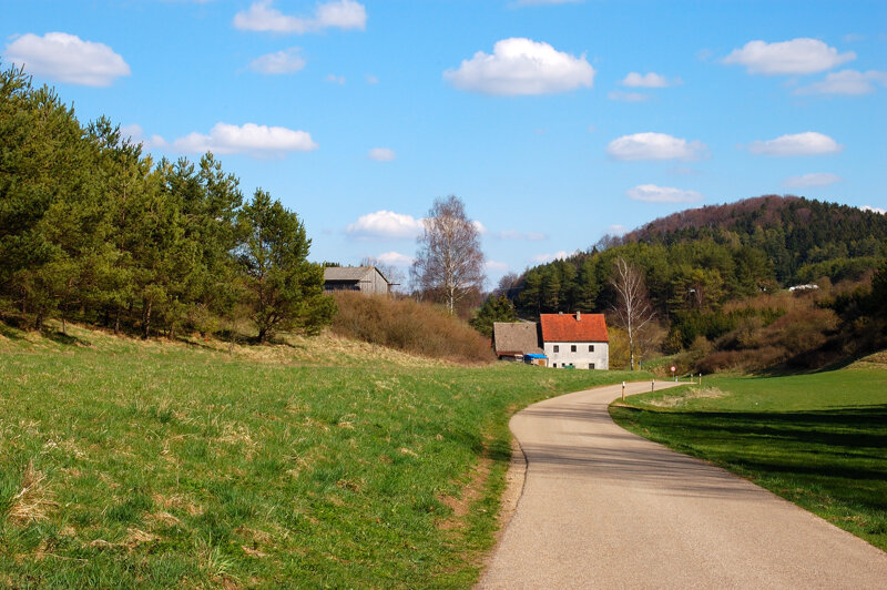 Natur bei Rieden