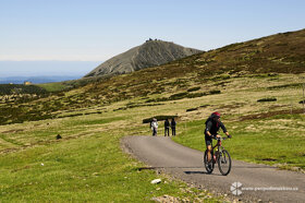 Fahrrad www.pecpecpodsnezkou.cz