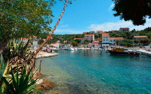 Sonne, Meer und Oliven auf der Insel Pag