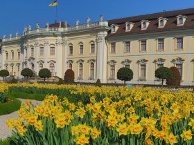 Schloss mit BlüBa (1)