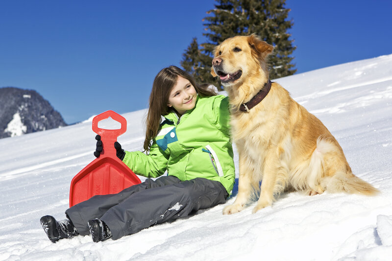 Mädchen mit Hund beim Wandern in den Bergen, Zell am See