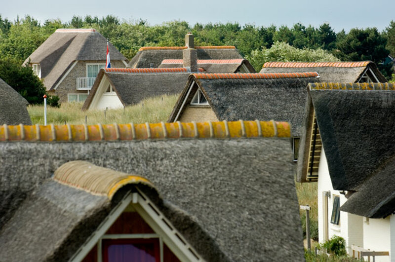 Typische Dünenlandschaft auf der Insel Ameland