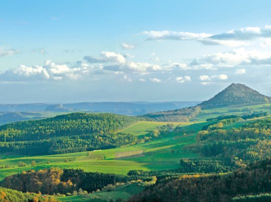 Hegaulandschaft C TI Singe