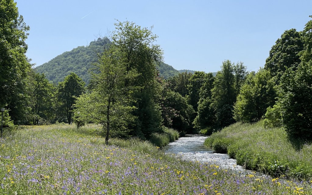Gartenschau Bad Urach 2027