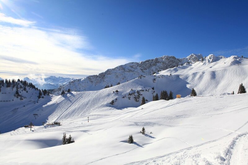 Schneelandschaft