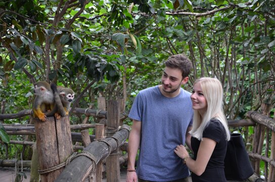 zoo leipzig totenkopfaeffchen im gondwanaland c mira held