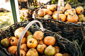 MV Feldversuche (c) Lisa Eiersebner (69)