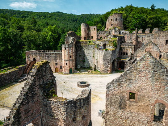 Schlossruine Hardenburg 1 © Pfalz Touristik, Fachenbach Medien