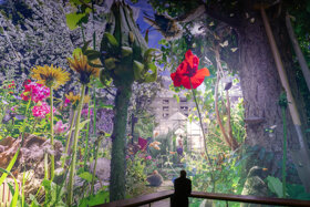 Carolas Garten Foto Tom Schulze (c) asisi