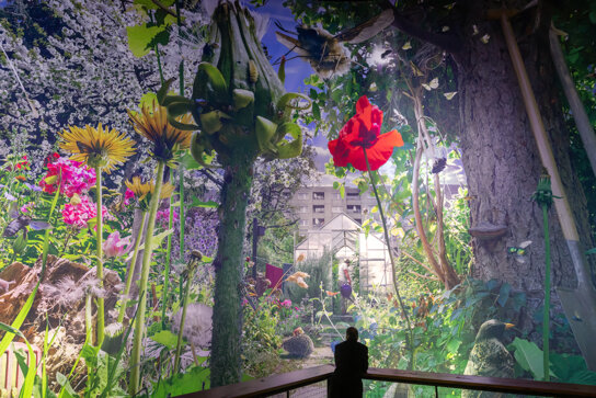 Carolas Garten Foto Tom Schulze (c) asisi