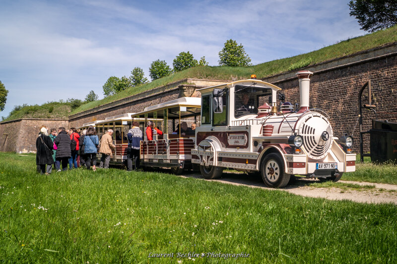 Petit train c office de tourisme pays rhin breisach