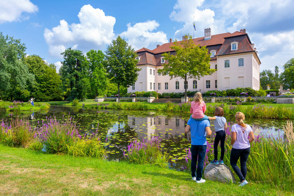 af branitz cmt 456310