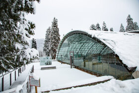 Badenweiler Winter-21