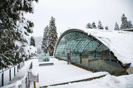 Badenweiler Winter-21