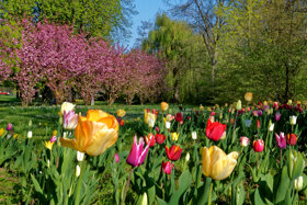 Kurpark C Stadt Bad Mergentheim