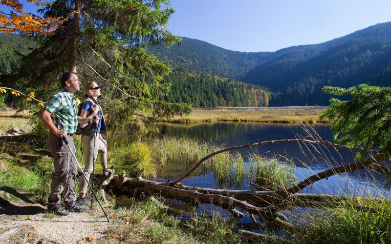 Naturpark Oberer Bayerischer Wald, Wanderer am Kleinen Arbersee
