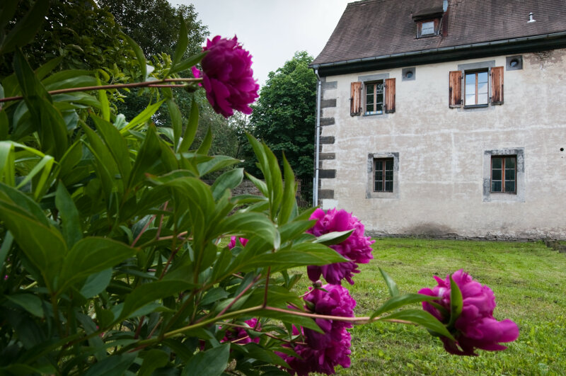 Erfurt Georgenburse