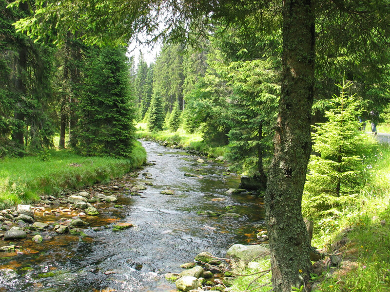 Urlaub im Böhmerwald in Tschechien - jetzt günstig buchen!