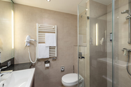 4577 ICH Dresden Bad Neu2