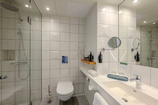 Badezimmer Deluxe DZ