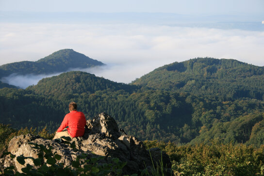 Oelbergansicht wanderer-©siebengebirge-tourismus-2