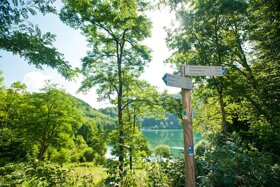 Lieserpfad Etappe 2 Daun