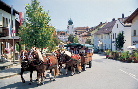 Lam - Ort Pferdeschlitten