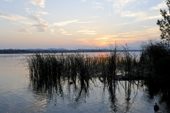 Lago di Varese ohne c Vecchia Riva