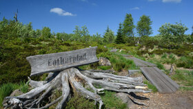 Lotharpfadschild