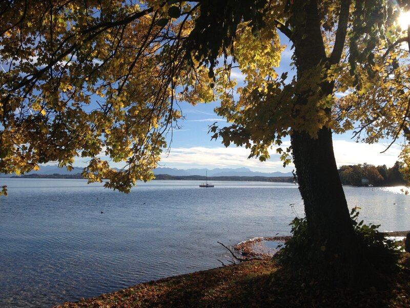 Herbst am Starnberger See – goldenes Licht und Bergpanorama in Oberbayern