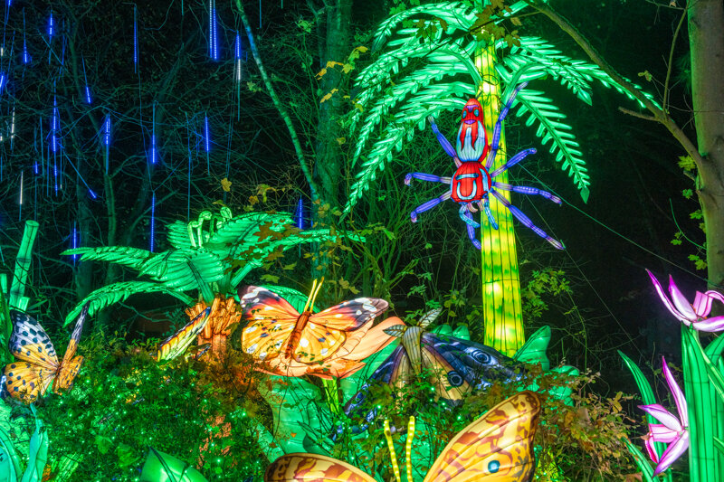 Lichtinstallation im Serengeti Park in Hodenhagen
