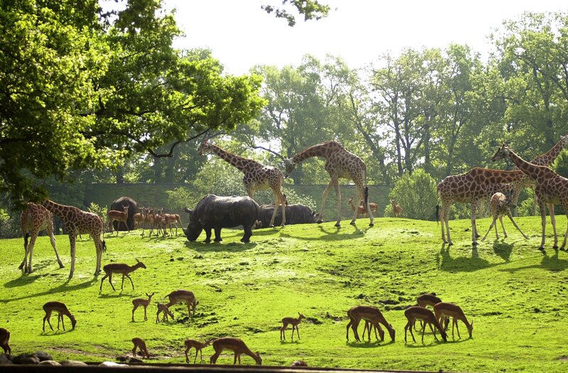 Tierpark Emmen – einer der schönsten Zoos der Niederlande