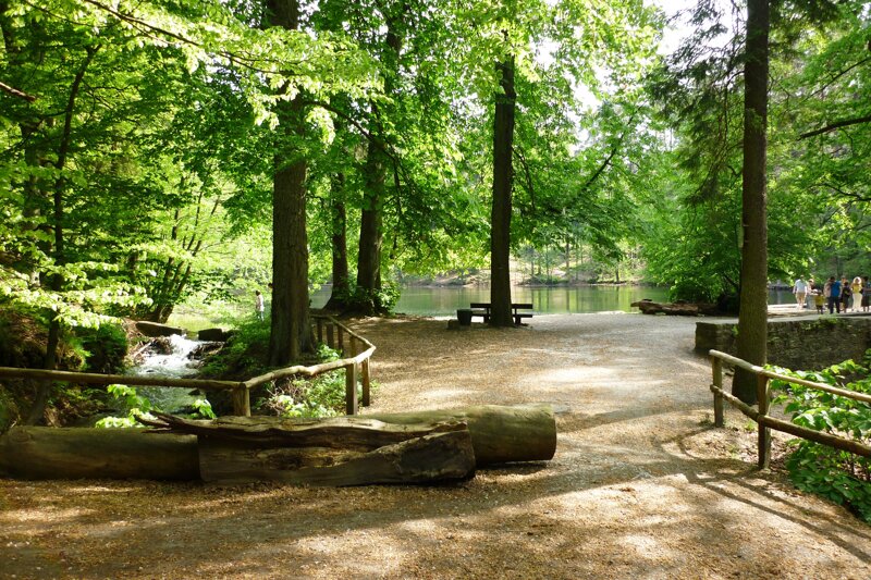 Donoperteich im Teutoburger Wald bei Detmold