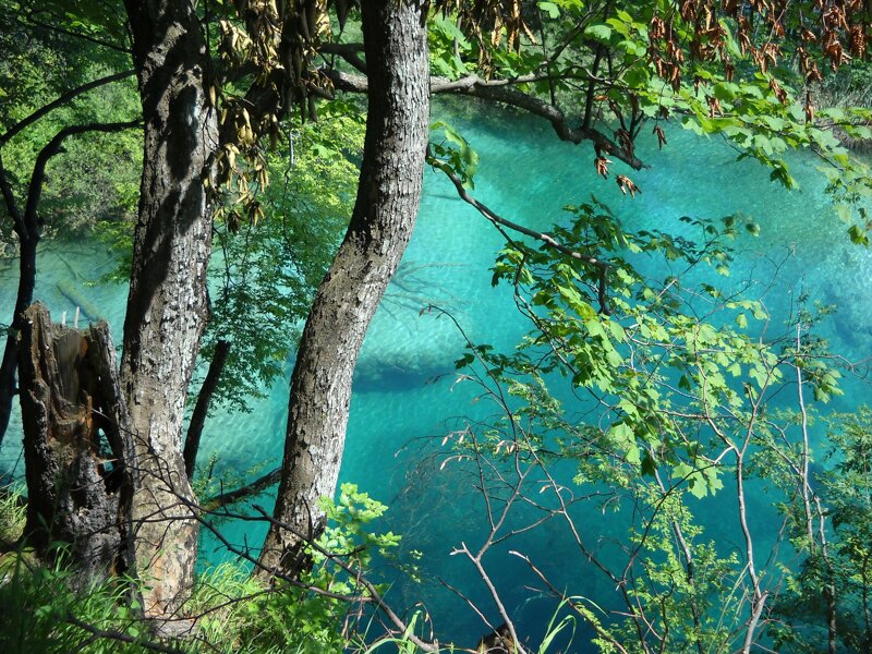 Natur im Nationalpark Plitvicer Seen