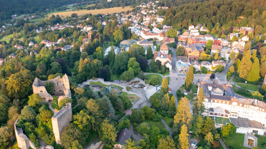 Luftaufnahme Badenweiler 2021 © Mathias Hollerbach (2)