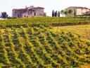 Urlaub auf der Wein-Terrasse von Florenz