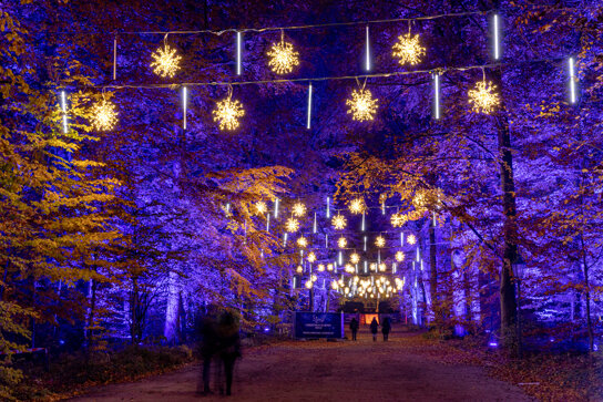 Christmas Garden Berlin 2019 - Impression 7 © Christmas Garden Deutschland